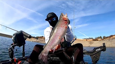 Rainbow Trout Fishing @Lake Amador 10/26/24