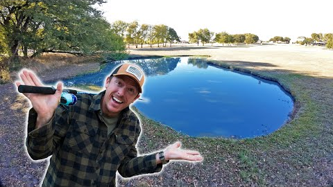 Fishing Backyard Pond for FIRST TIME! What Fish Live in Here?