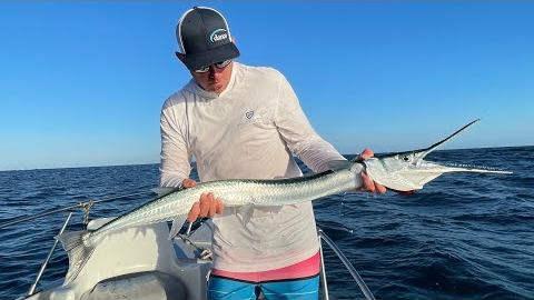 MASSIVE *NEEDLE FISH* Catch Clean & Cook (Cabo,Mexico)