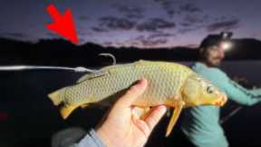 Fishing GIANT Live Baits in a Desert Lake! (They Got Eaten)