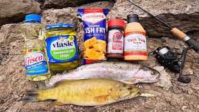 Smallmouth Bass + Rainbow Trout Catch & Cook!! (Fish Sandwiches)