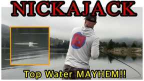 Fall Bass Fishing; NICKAJACK Tournament Top Water MAYHEM!!