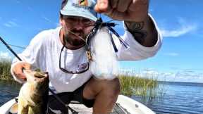 SUMMER BEAT DOWN!                                   BASS FISHING LAKE OKEECHOBEE