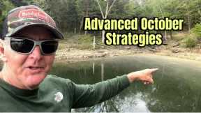 Advanced October Bass Fishing Techniques And Strategies