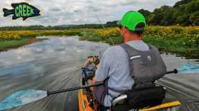 Fishing Backwater Creeks and Swamps on Guntersville