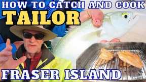 How To Catch and Cook TAILOR on Fraser Island  Catching Filleting Cooking fresh Tailor on the Beach