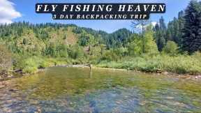 This stream is the Epitome of Perfection - 3 day Backcountry Fly Fishing Trip!