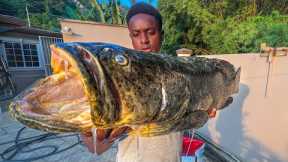 CATCH, CLEAN AND COOK MONSTER FISH FROM THE DEEP!