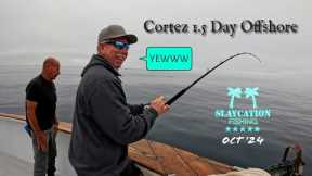 BLUEFIN TUNA Fishing Offshore | Cortez 1.5 Day Trip Seaforth Landing San Diego