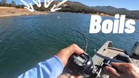 Fall time | striped bass fishing | hogan lake | 2024