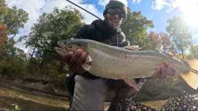 The Run has Begun | Fly Fishing for Lake Erie Steelhead (Pennsylvania)