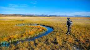 STREAMER FLY FISHING FOR GIANT BROWN TROUT!! (Colorado Pt. 1)