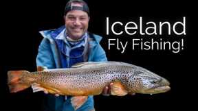 ICELAND Fly Fishing: Where to Go & What to Catch!