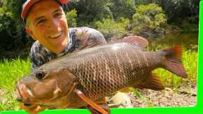 Best jungle overnight fishing trip ever. Catch n cook. EP.597