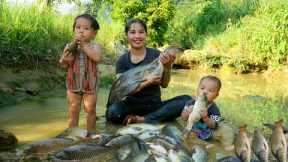 Meet giant fish, catch fish, trap fish with your children to sell at the market - cook food for pigs