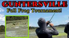 Fall Bass Fishing; GUNTERSVILLE Frog Tournament!!