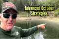 Advanced October Bass Fishing