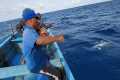 fishing for yellowfin tuna fish 