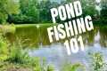 How To Fish Small Ponds- Bass Fishing 