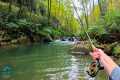 Fly Fishing an INSANE Creek for Big