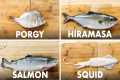 How To Fillet Every Fish | Method