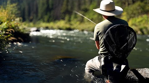 Fly fishing the most productive river I know