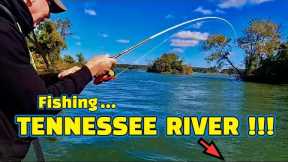 Fishing WHEELER LAKE on the TENNESSEE RIVER with LIVE MINNOWS !!