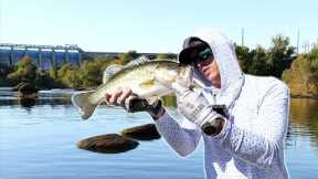 Fishing a River Below a Gushing Dam!