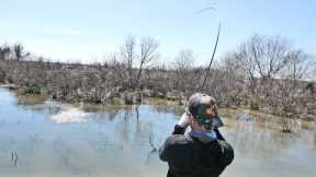 Sight Fishing Big Bass on Lake Fork