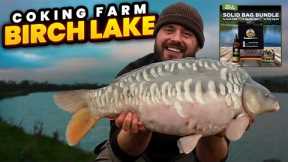 Carp Fishing On A BUDGET CHALLENGE On Birch Lake - Coking Farm