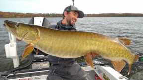 ULTRA CLEAR WATER Fall Musky Fishing!!!