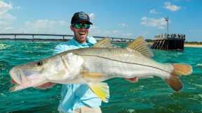 The Protected Fish I'm Keeping Forever (Catch Clean & Cook Snook)