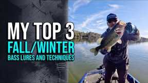 My 3 Top Fall:Winter Bass Lures And Techniques