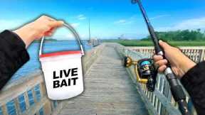 Eating Whatever I Catch.. Fishing a Public Dock (Catch and Cook)