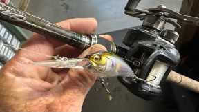 Situations A Medium Diving Crankbait Excels…(It’s Not In Medium Depths)