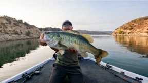 CASTAIC LAKE MONSTER BASS | PB LARGEMOUTH BASS