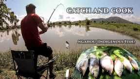 Catch and Cook -Catching Indigenous Fish (Ngahou) and Cooking with Meitei style recipe......