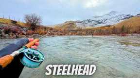 Chasing Chrome Fly Fishing Methow Valley's Hidden Gem