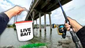 Eating Whatever I Catch.. Fishing UNDER the Bridge (Catch and Cook)