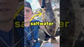 How To Catch Saltwater Fish! (For Beginners)