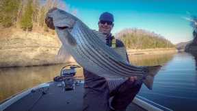 Winter Bass Fishing - Lake Cumberland