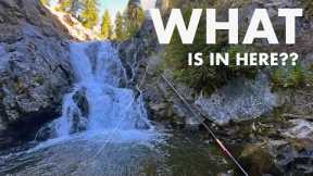 Fishing Below and Above a Wilderness Waterfall! (Tenkara Fly Fishing)