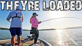 SHE CRUSHES THE BASS! Hooked Up With A TON OF BASS Fishing Lake Guntersville!