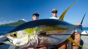 MASSIVE Mexican Tuna... Catch Clean Cook (Yellowfin Tuna)