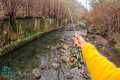 Fly Fishing 4 CRAZY Creeks in 1