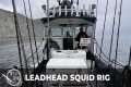 How-to Rig a Leadhead with SQUID for