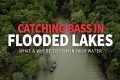 Catching BASS in FLOODED Lakes! (Tips 