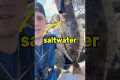 How To Catch Saltwater Fish! (For