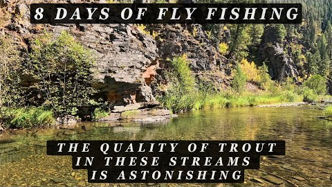 8 days of Fly Fishing - The quality of the trout in these streams is WOW!  (44 min extended video)