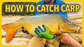 How to catch carp, CHEAP and SIMPLE carp fishing tips